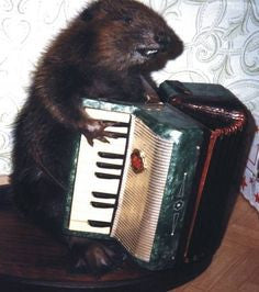 Because, Music.