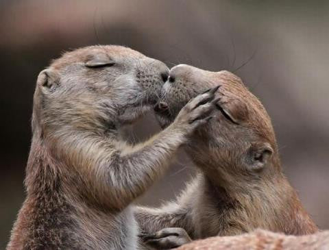 The Look of Love